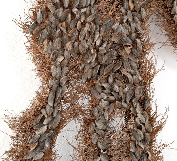 Samtling Guthy Schueler